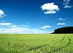 bavaria